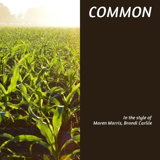 Karaoke Common by Brandi Carlile, Maren Morris — sing along with lyrics on Singa