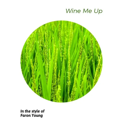 Wine Me Up - Karaoke