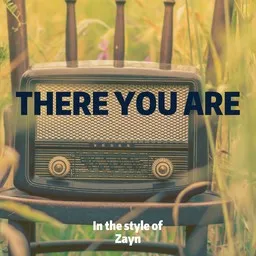 Cover art for There You Are - Zayn karaoke version