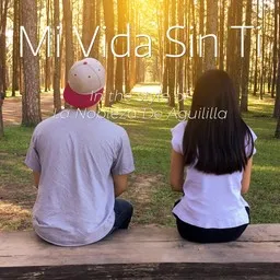 Titelbild für Mi Vida Sin Ti - La Nobleza De Aguililla Karaoke-Version