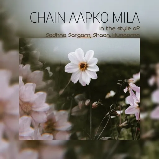 Karaoke Chain Aapko Mila av Hungama, Sadhna Sargam, Shaan — sjung med på texten på Singa