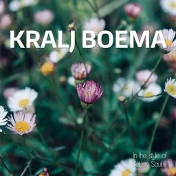 Šaban Šaulić - Karaoke