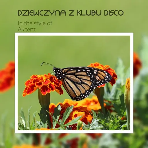 Dziewczyna z klubu disco - Karaoke