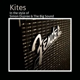 Simon Dupree & The Big Sound - Karaoke