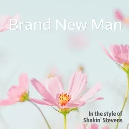 Cover art for Brand New Man - Shakin' Stevens karaoke version