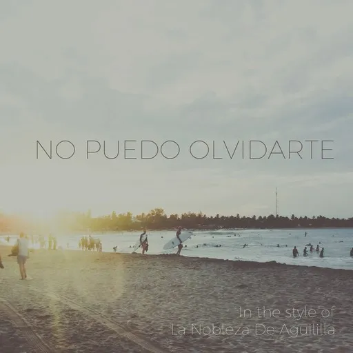 Karaoke No Puedo Olvidarte von La Nobleza De Aguililla — mit Songtext mitsingen auf Singa