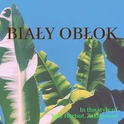 Cover art for Biały Obłok - Igor Herbut,Zakopower karaoke version