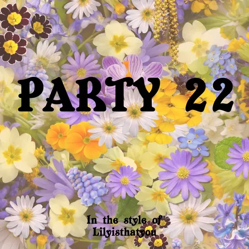 Karaoke Party 22 von Lilyisthatyou — mit Songtext mitsingen auf Singa