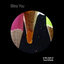 Karaokekappaleen Bless You - Tony Orlando kansikuva