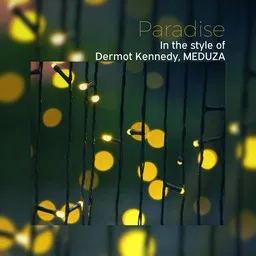 Cover art for Paradise - Dermot Kennedy,MEDUZA karaoke version