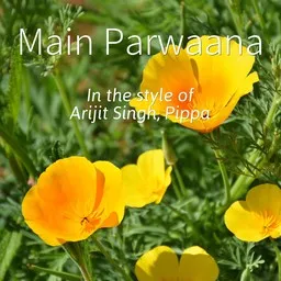 Titelbild für Main Parwaana - Arijit Singh,Pippa Karaoke-Version