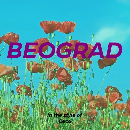Karaoke Beograd by Ceca — sing along with lyrics on Singa