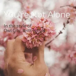 Titelbild für You're Not Alone - Britt Nicole,Owl City Karaoke-Version