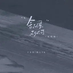 Titelbild für 舍不得又如何 - 于冬然,散人TR Karaoke-Version