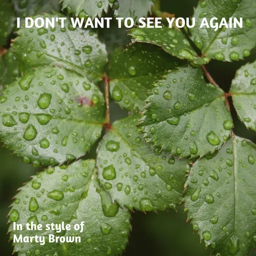 Karaoke I Don't Want To See You Again av Marty Brown — sjung med på texten på Singa