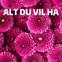 Titelbild für Alt du vil ha - Bjørn Eidsvåg Karaoke-Version