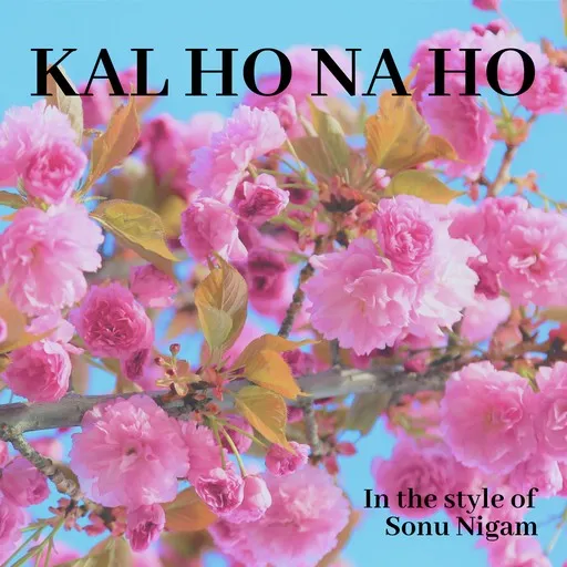 Kal ho na ho - Karaoke