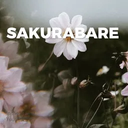 Cover art for Sakurabare - Yuuri (優里) karaoke version