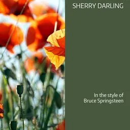 Cover art for Sherry Darling - Bruce Springsteen karaoke version