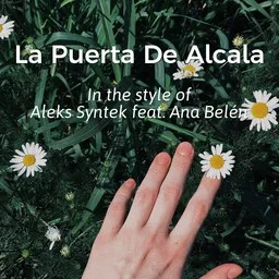 Cover art for La Puerta De Alcala - Aleks Syntek,Ana Belén karaoke version