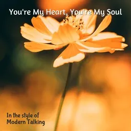 Titelbild für You're My Heart, You're My Soul - Modern Talking Karaoke-Version