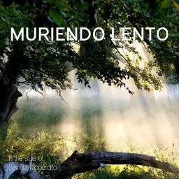 Titelbild für Muriendo Lento - Belinda,Moderatto Karaoke-Version