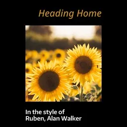 Cover art for Heading Home - Alan Walker,Ruben karaoke version
