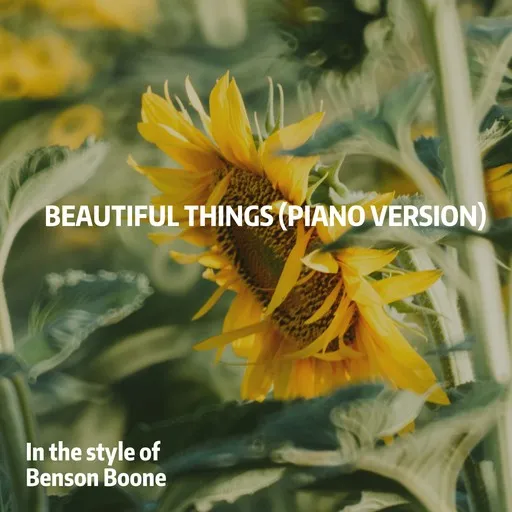 Karaoke Beautiful Things (Piano Version) by Benson Boone — sing along with lyrics on Singa