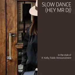 Cover art for Slow Dance (Hey Mr Dj) - Public Announcement,R. Kelly karaoke version