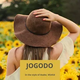 Karaokekappaleen Jogodo - Asake,WizKid kansikuva