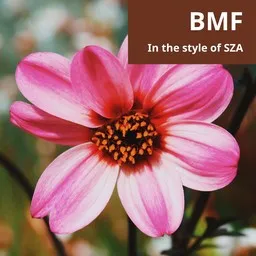Titelbild für BMF - SZA Karaoke-Version