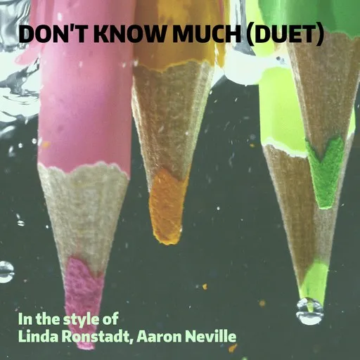 Don't Know Much (Duet) - Karaoke