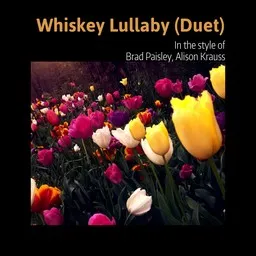 Cover art for Whiskey Lullaby (Duet) - Alison Krauss,Brad Paisley karaoke version
