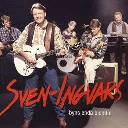 Cover art for Sommar i Sverige - Sven-Ingvars karaoke version