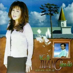 Titelbild für Lạnh trọn đêm mưa - Thái Châu Karaoke-Version