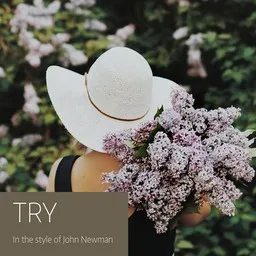 Omslagsbild för Try - John Newman karaokeversion