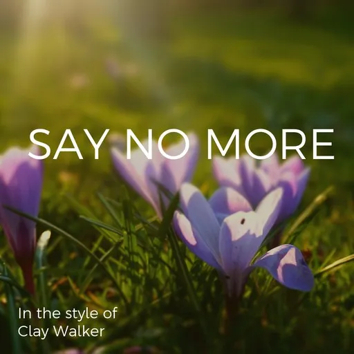 Karaoke Say No More by Clay Walker — sing along with lyrics on Singa