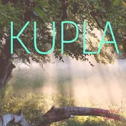 Cover art for Kupla - Ida Paul karaoke version