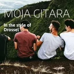 Cover art for Moja gitara - Drossel karaoke version