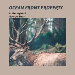 Cover art for Ocean Front Property - George Strait karaoke version