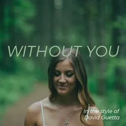 Omslagsbild för Without You - David Guetta karaokeversion