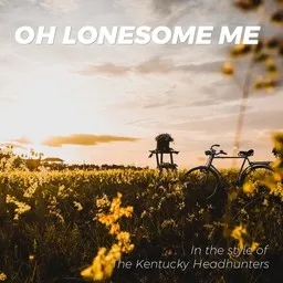 Cover art for Oh Lonesome Me - The Kentucky Headhunters karaoke version