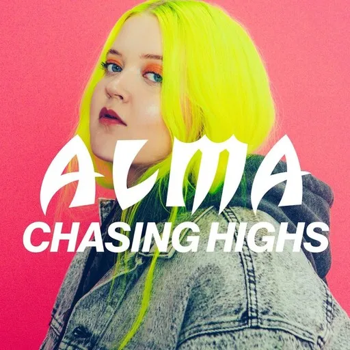 Chasing Highs - Karaoke