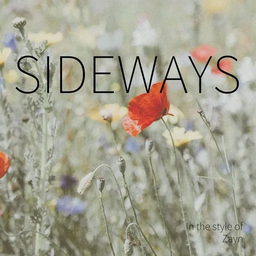Karaoke Sideways by Zayn — sing along with lyrics on Singa