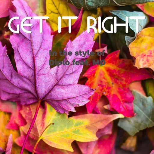 Karaoke Get It Right von Diplo — mit Songtext mitsingen auf Singa