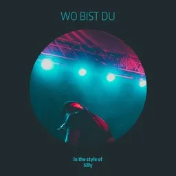 Cover art for Silly