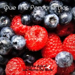 Omslagsbild för Que Me Perdone Dios - Los Morros Del Norte karaokeversion