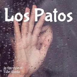 Cover art for Los Patos - Fidel Rueda karaoke version