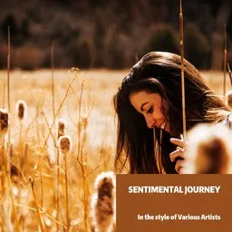 Cover art for Sentimental Journey - Various Artists karaoke version
