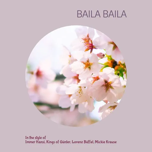 Karaoke Baila Baila by Immer Hansi, Kings of Günter, Lorenz Büffel, Mickie Krause — sing along with lyrics on Singa